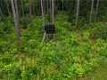 Property photo 49