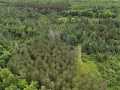 Property photo 52
