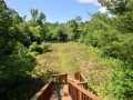 Property photo 52