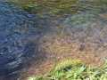 Property photo 53