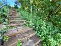 Property photo 49