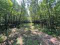 Property photo 50