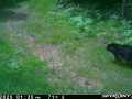Property photo 54