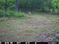 Property photo 56