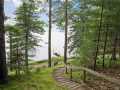 Property photo 56