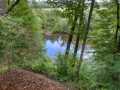 Property photo 51