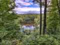 Property photo 53