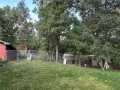 Property photo 42