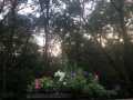 Property photo 52