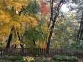 Property photo 53
