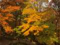 Property photo 54