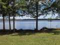 Property photo 54