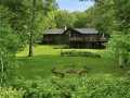 Property photo 50
