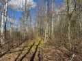 Property photo 34