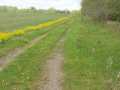 Property photo 39