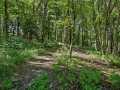 Property photo 50