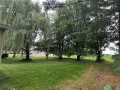 Property photo 57