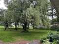 Property photo 59