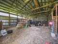 Property photo 45