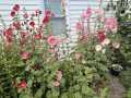 Property photo 52
