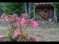 Property photo 50