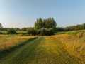 Property photo 38