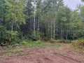 Property photo 49