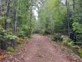 Property photo 51