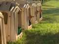 Property photo 58