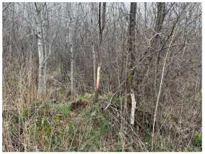 Property photo 20