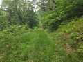 Property photo 48