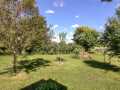 Property photo 51