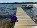 Property photo 46