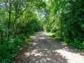 Property photo 44