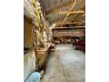 Property photo 47