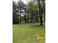 Property photo 56
