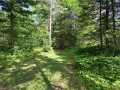 Property photo 47