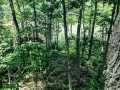 Property photo 48