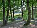Property photo 56