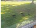 Property photo 50