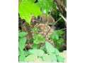 Property photo 52