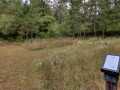 Property photo 53