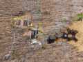 Property photo 49