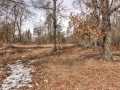 Property photo 56