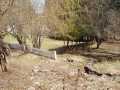 Property photo 51