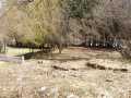 Property photo 52