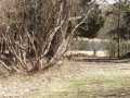Property photo 53