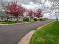 Property photo 54