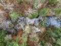 Property photo 57