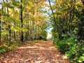 Property photo 54